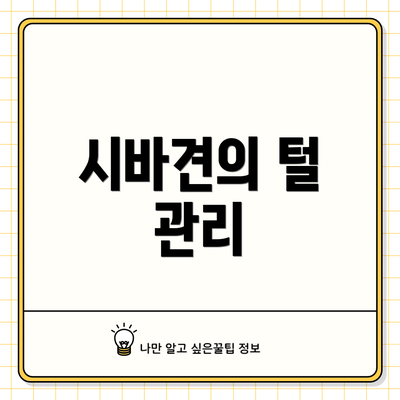 시바견의 털 관리