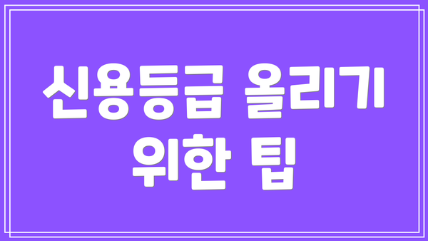 신용등급 올리기 위한 팁