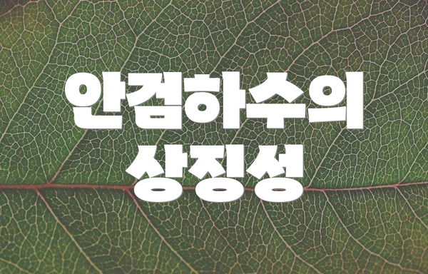 안검하수의 상징성