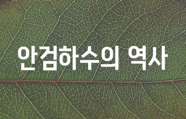 안검하수의 역사