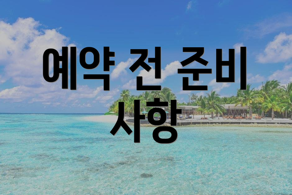 예약 전 준비 사항