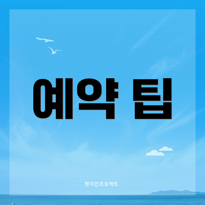 예약 팁