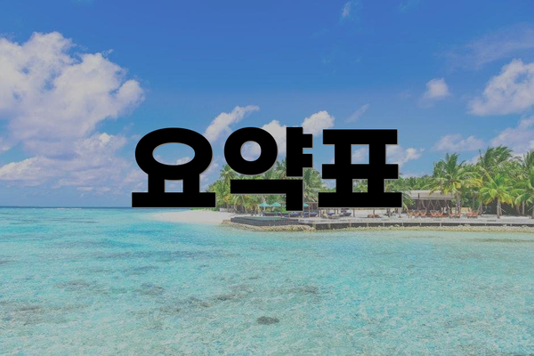 요약표