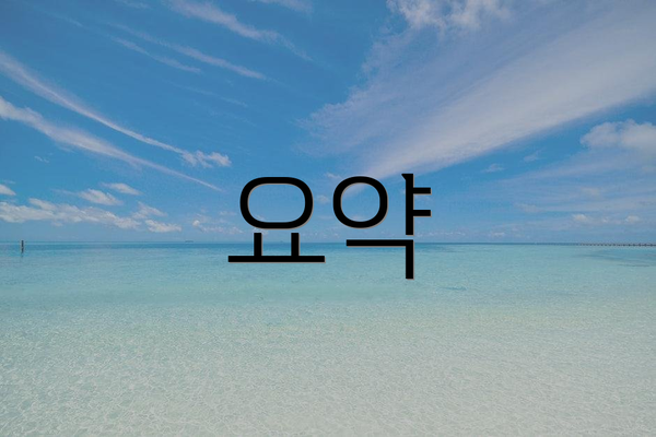 요약