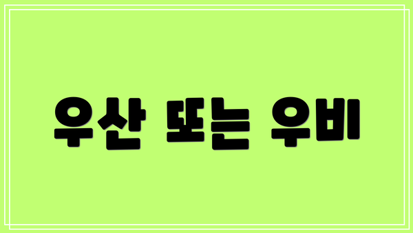 우산 또는 우비