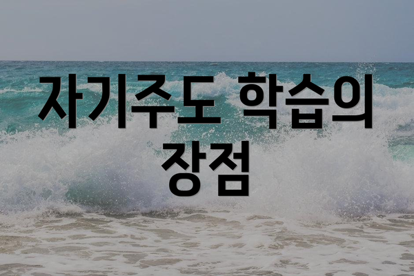 자기주도 학습의 장점