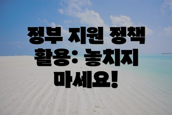 정부 지원 정책 활용: 놓치지 마세요!