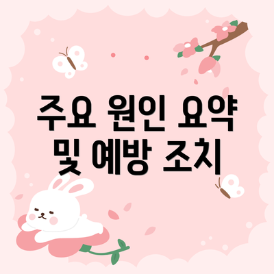 주요 원인 요약 및 예방 조치