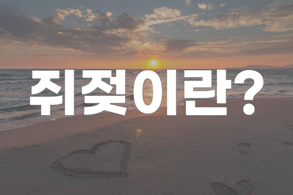 쥐젖이란?