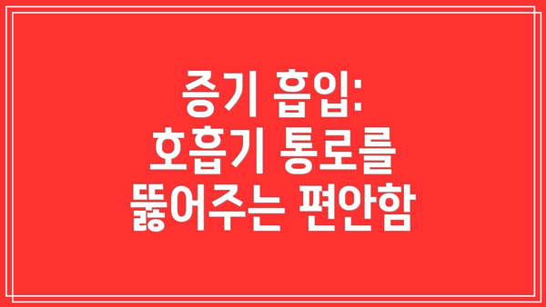 증기 흡입: 호흡기 통로를 뚫어주는 편안함