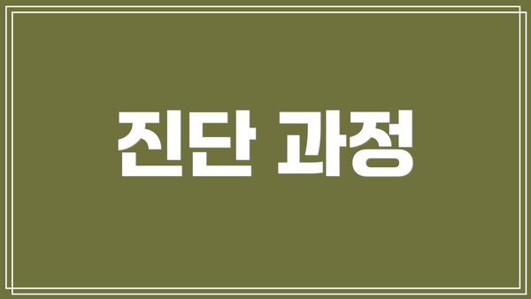 진단 과정