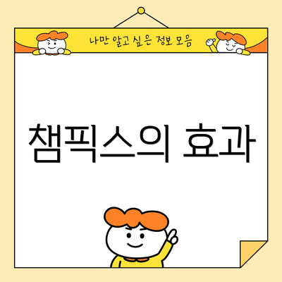 챔픽스의 효과