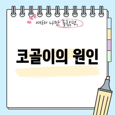 코골이의 원인