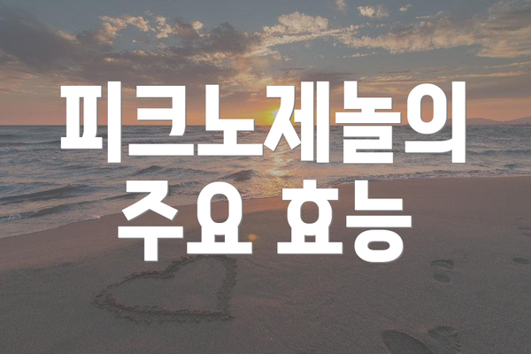 피크노제놀의 주요 효능