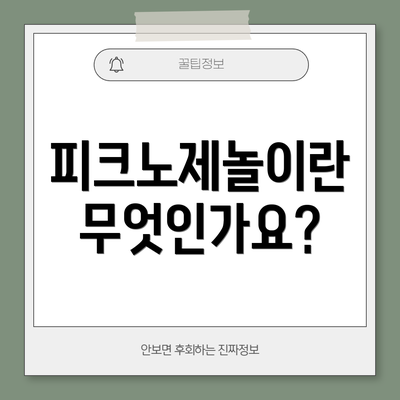 피크노제놀이란 무엇인가요?