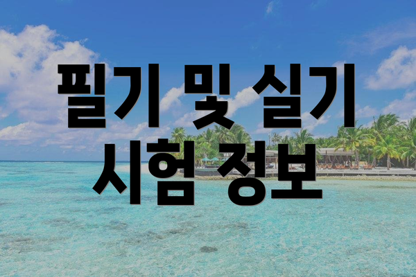 필기 및 실기 시험 정보
