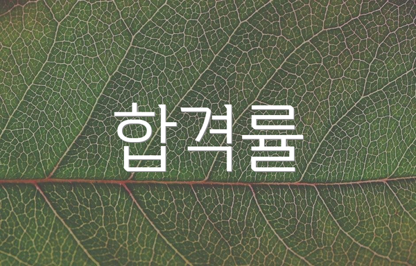 합격률