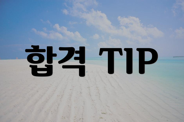 합격 TIP