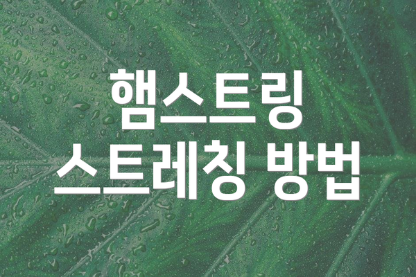 햄스트링 스트레칭 방법