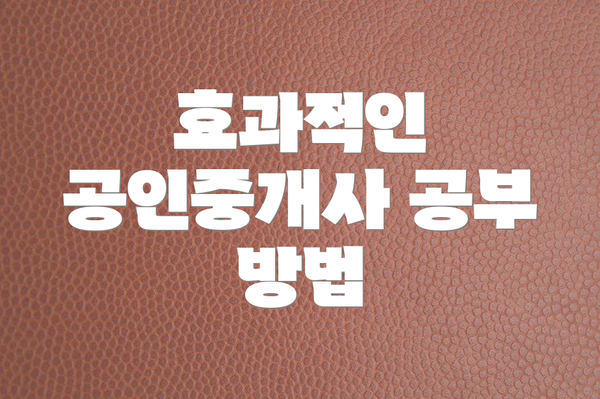 효과적인 공인중개사 공부 방법