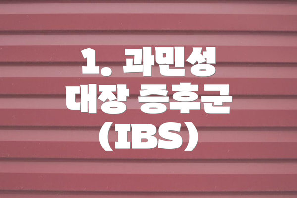 1. 과민성 대장 증후군 (IBS)