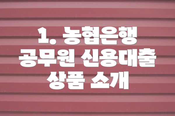 1. 농협은행 공무원 신용대출 상품 소개