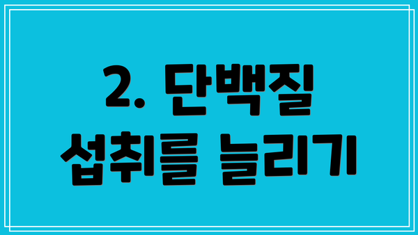 2. 단백질 섭취를 늘리기