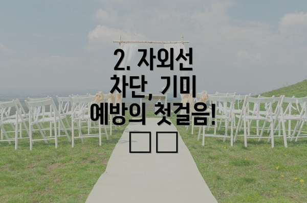 2. 자외선 차단, 기미 예방의 첫걸음! ☀️