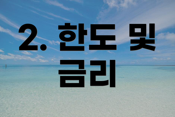 2. 한도 및 금리