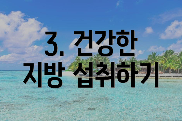3. 건강한 지방 섭취하기