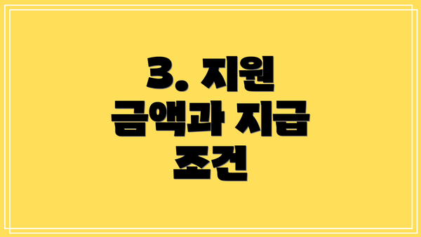 3. 지원 금액과 지급 조건