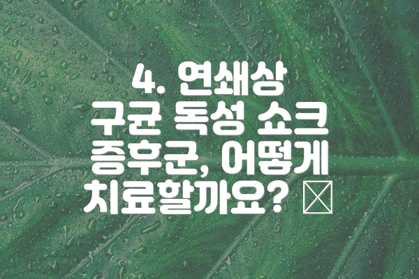 4. 연쇄상 구균 독성 쇼크 증후군, 어떻게 치료할까요? 🏥