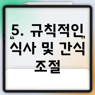 5. 규칙적인 식사 및 간식 조절