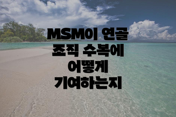 MSM이 연골 조직 수복에 어떻게 기여하는지