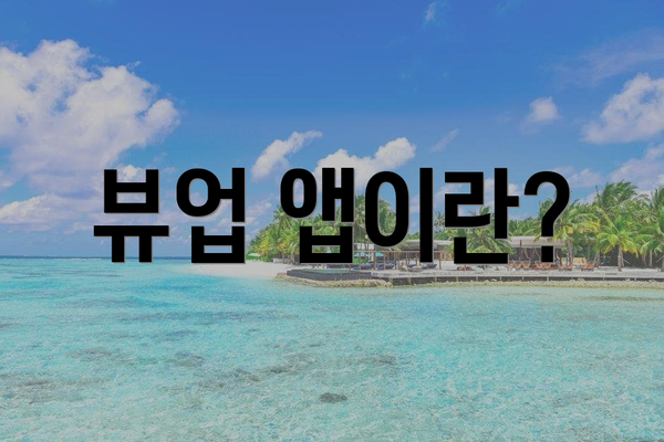 뷰업 앱이란?