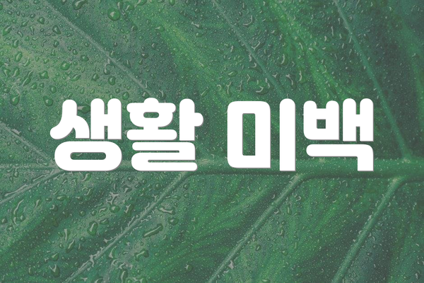 생활 미백