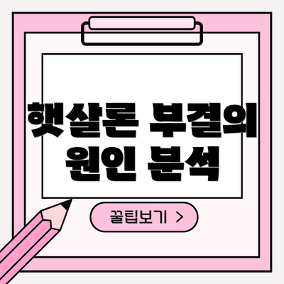 햇살론 부결의 원인 분석