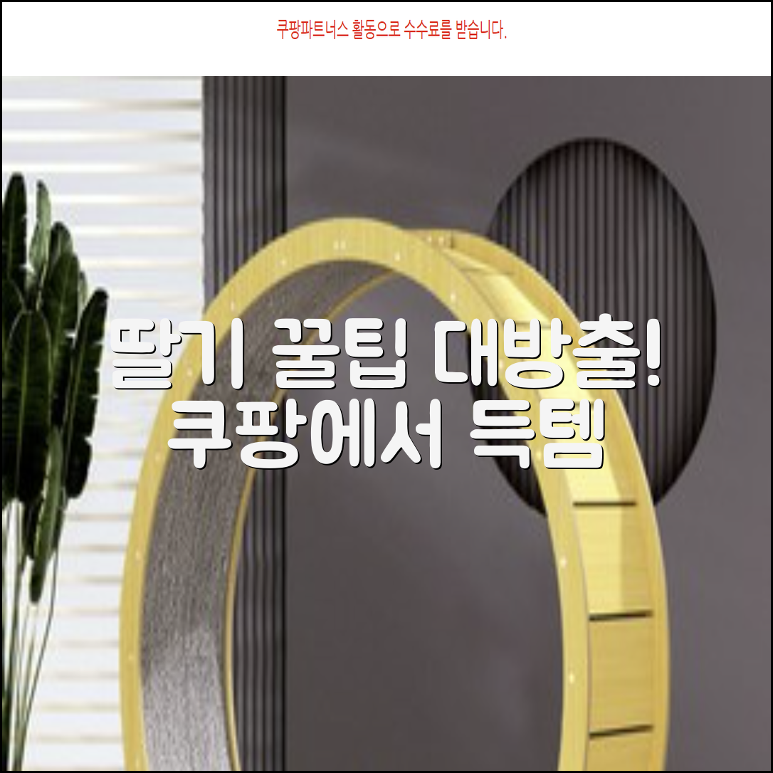 🍓딸기, 맛있게 즐기는 완벽 가이드