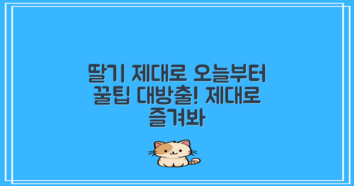 오늘부터 딸기, 제대로 즐겨보세요!