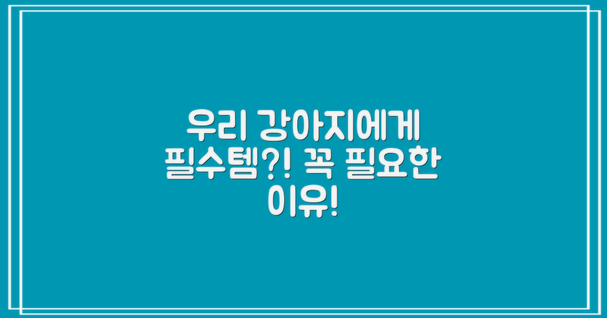 우리 강아지에게 왜 필요할까요?