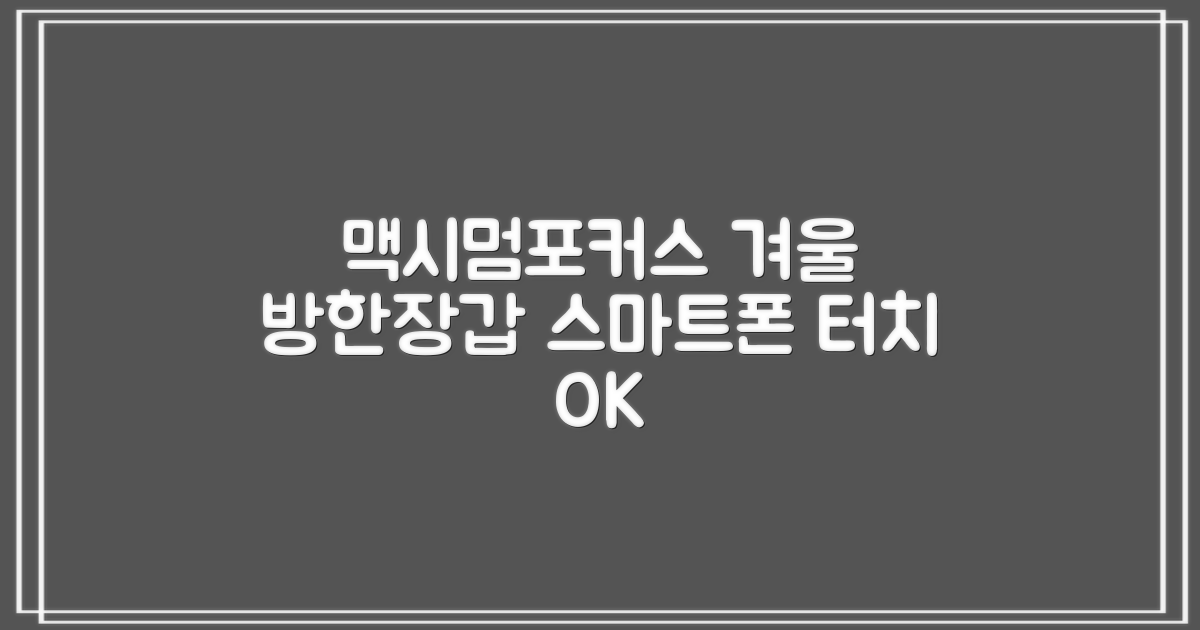 맥시멈포커스 스마트폰 터치 겨울 방한장갑 추천 리뷰