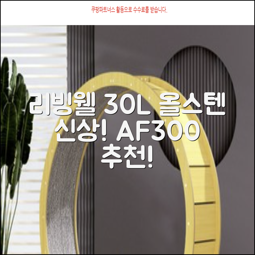 [최신형]리빙웰 30L 특대용량 신제품 올스텐 에어프라이어 AF300 추천 리뷰