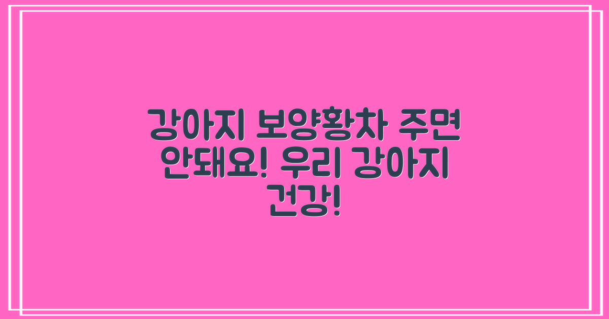 보양황차, 강아지에게 주자!