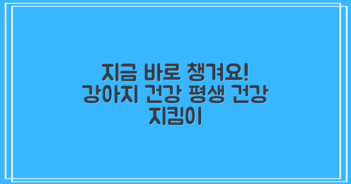 강아지 건강, 지금 챙기세요!