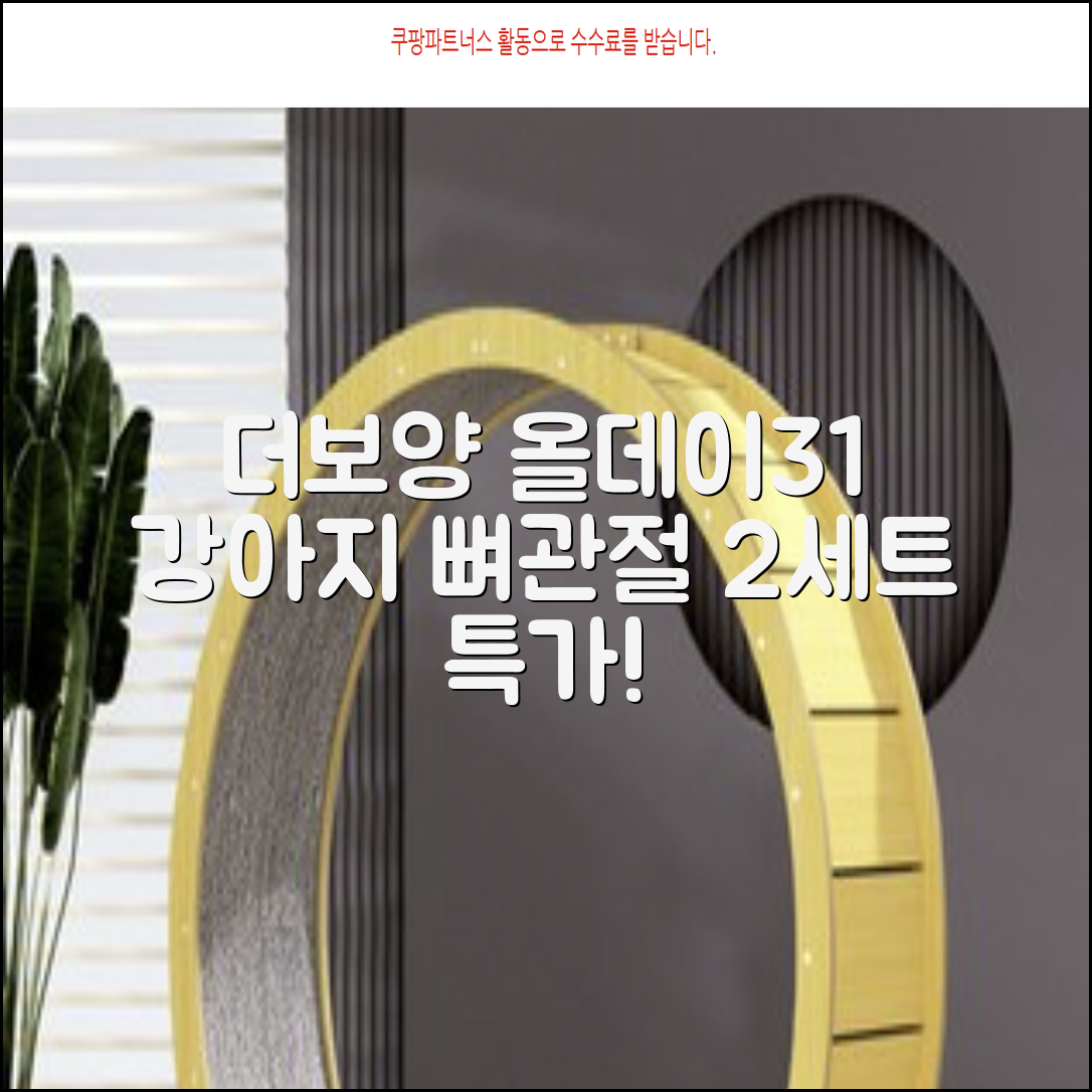 더보양 올데이31 강아지 영양제, 160정, 뼈/관절강화, 2세트 추천 리뷰