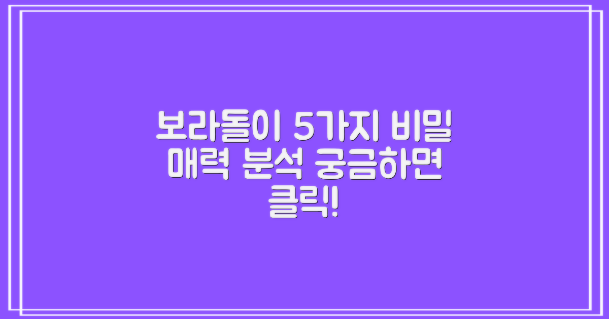 5가지 보라돌이 매력 분석