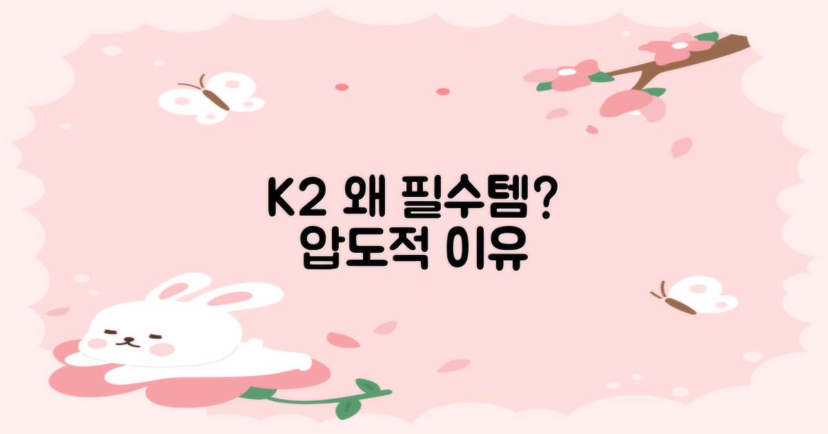 K2, 왜 필수템일까?