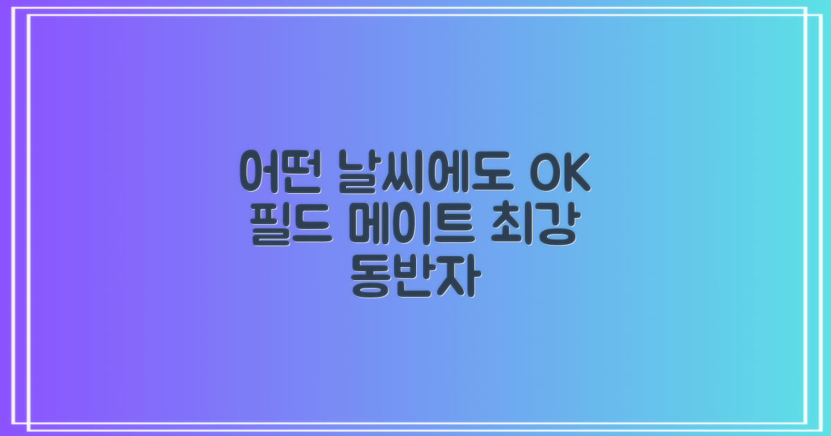 어떤 날씨에도 OK, 필드 메이트