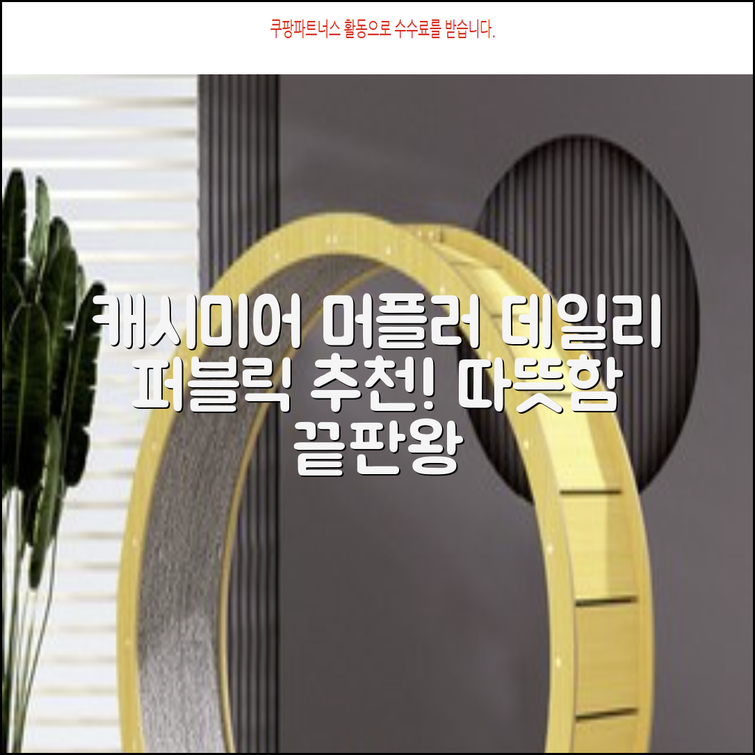 데일리퍼블릭 롱 캐시미어 머플러 목도리 넥워머 추천 리뷰