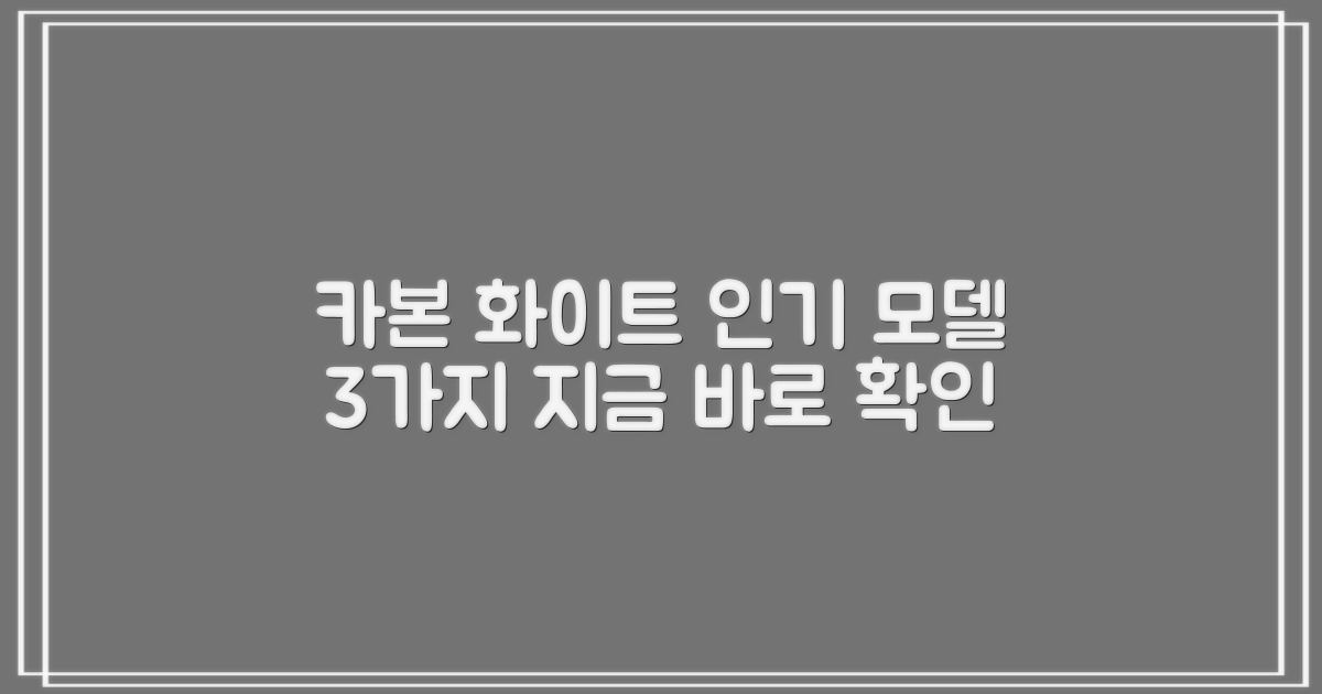 3가지 인기 카본 화이트 모델